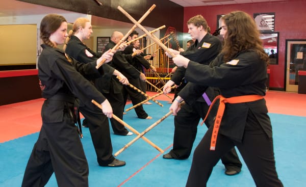 Twin Dragon Kung Fu Academy, Inc. by null