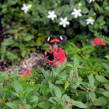 Reiman Gardens - Botanical Gardens Near Me - Ames, Iowa