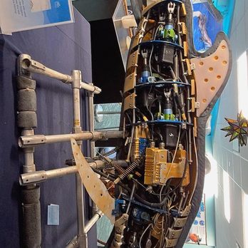 Clearwater Marine Aquarium - Aquariums Near Me - Clearwater, Florida