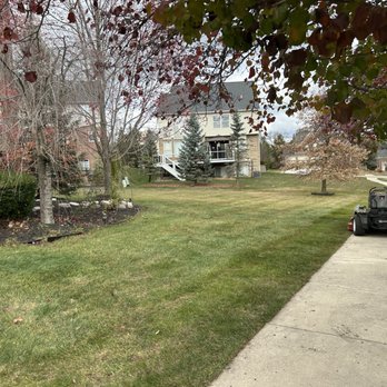 BM Lawn and Landscape - This is an after picture of a leaf cleanup - Lawn Services Near Me BM Lawn and Landscape - This is an after picture of a leaf cleanup - Lawn Services Near Me