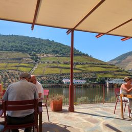 View from the patio