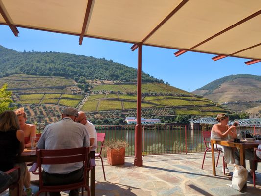 Quinta do Bomfim by null