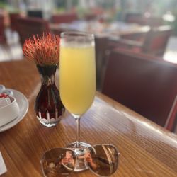 Veranda - Mimosa Love!