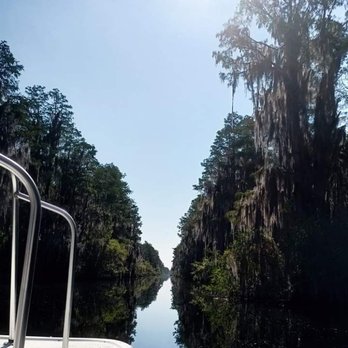 Okefenokee Adventures - Boating Near Me - Folkston, Georgia Okefenokee Adventures - Boating Near Me - Folkston, Georgia