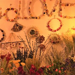 Un Jardin en Ville - fleurs séchées proposées à la tige et compositions séchées