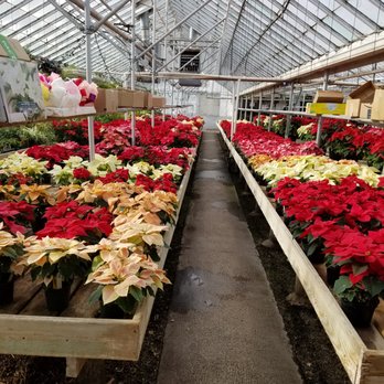 Hacker's Glenbard Gardens - Nurseries & Gardening Near Me - Lombard, Illinois