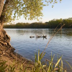 Riverfront Regional Park