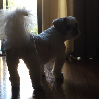 Perfect Pet Salon - Pet Groomers Near Me - Concord, California Perfect Pet Salon - Pet Groomers Near Me - Concord, California