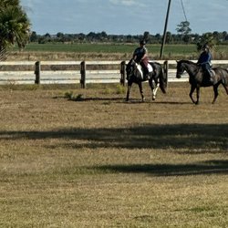 McNally Show Horses - Leisurely property hack