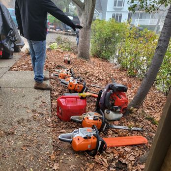 De La Cruz Tree Service - Tree Services Near Me - Elk Grove, California De La Cruz Tree Service - Tree Services Near Me - Elk Grove, California