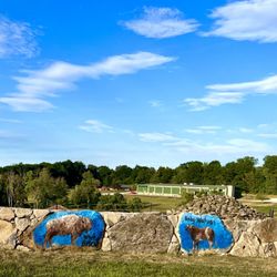 Action Wildlife Foundation - Animal artwork on outside wall