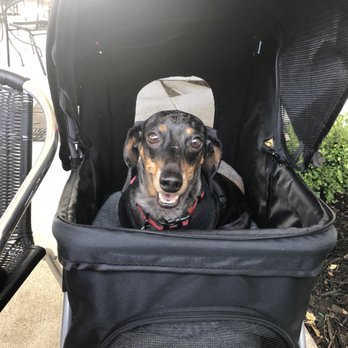 Sunset Grill - Porch seating is PET FRIENDLY! - American Near Me - Fredericksburg, Texas