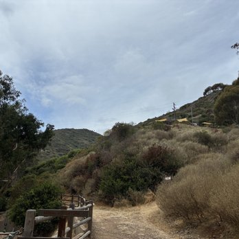 Catalina Zip Line Eco Tour - Ziplining Near Me - Avalon, California Catalina Zip Line Eco Tour - Ziplining Near Me - Avalon, California