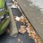 Photo of Dollar Tree