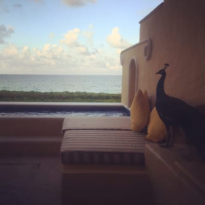 Paraiso de la Bonita, a Luxury Collection Resort, Riviera Maya, Adult All-Inclusive by null