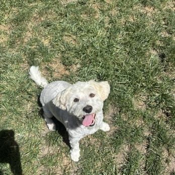 Grooming by Jen - Pet Groomers Near Me - Stockton, California Grooming by Jen - Pet Groomers Near Me - Stockton, California