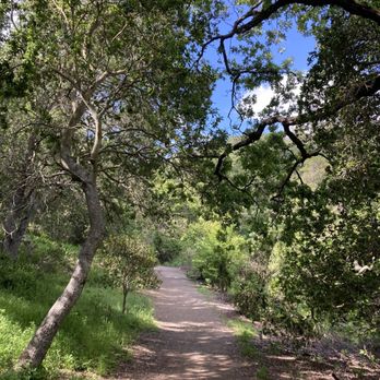 Belgatos Park - Lots of shade - Hiking Near Me - Los Gatos, California Belgatos Park - Lots of shade - Hiking Near Me - Los Gatos, California