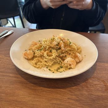 Nostrana - Reginette with gulf shrimp - Italian Near Me - Portland, Oregon