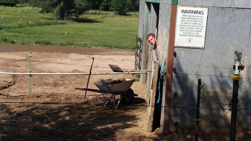 Tamarack Boarding Ranch - equestrian in Fountain, CO
