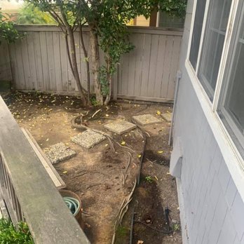 Casimiro Landscaping Services - Here's the before photo - Landscaping Near Me - Richmond, California Casimiro Landscaping Services - Here's the before photo - Landscaping Near Me - Richmond, California