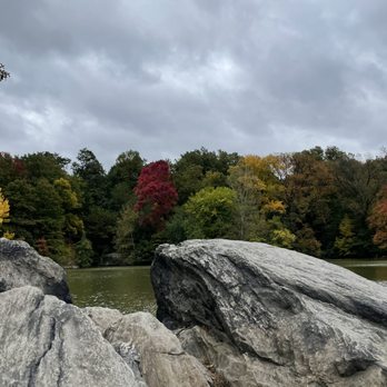 Central Park Conservancy - Parks Near Me - New York, New York Central Park Conservancy - Parks Near Me - New York, New York