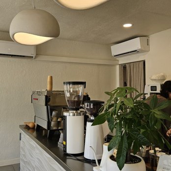 Daycation Coffee - Coffee & Tea Near Me - St. Petersburg, Florida Daycation Coffee - Coffee & Tea Near Me - St. Petersburg, Florida