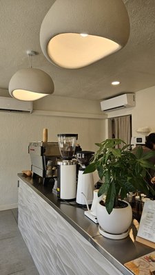 Daycation Coffee by null