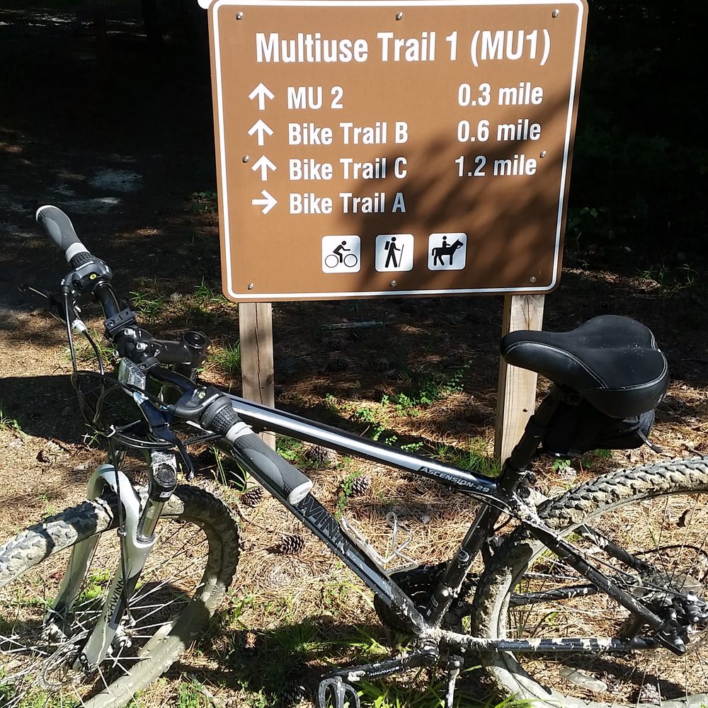 trek bicycle yorktown Townie 7D Step Over 26 Hyper Blue making it an excellent choice for both beginners and experienced riders looking to enjoy a smooth Handlebar Trek Bikes Yorktown THE