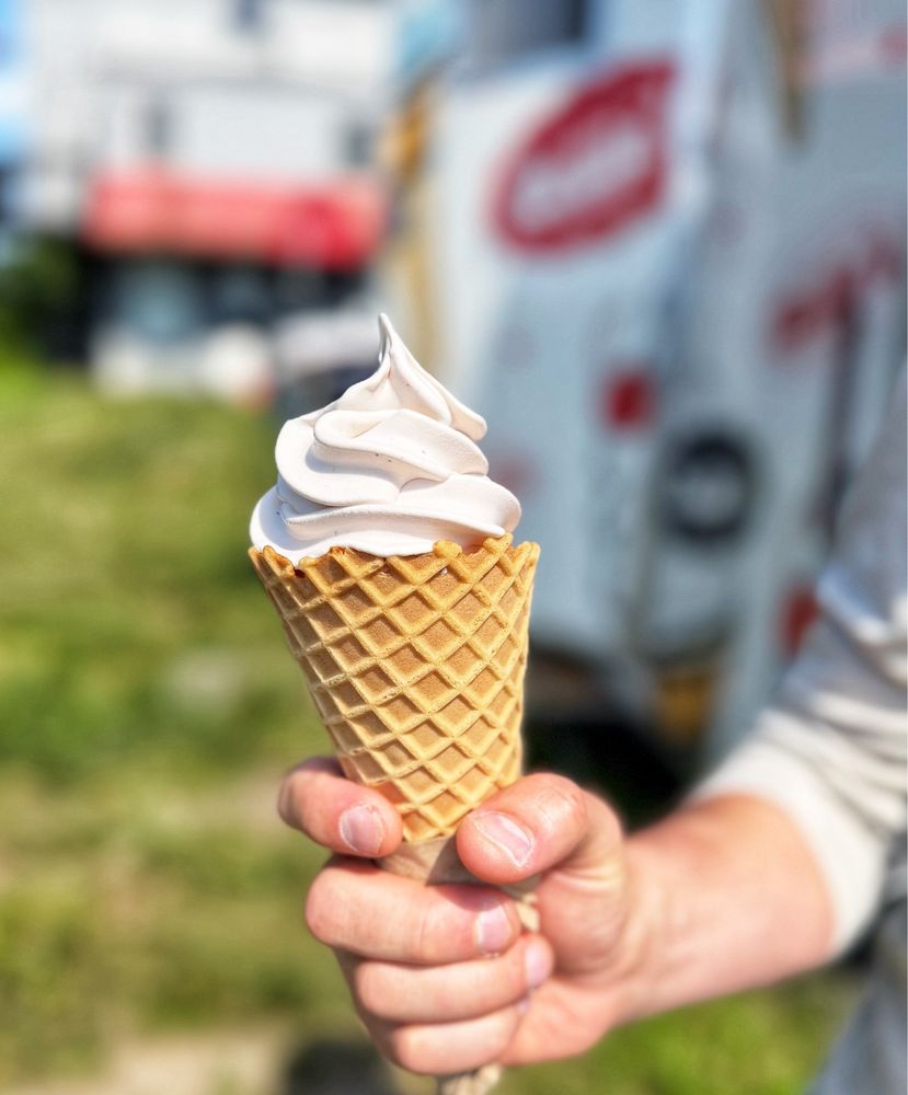 Zellie’s Ice Cream Logo