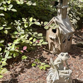 Birdsong Cabins - Vacation Rentals Near Me - Wimberley, Texas Birdsong Cabins - Vacation Rentals Near Me - Wimberley, Texas
