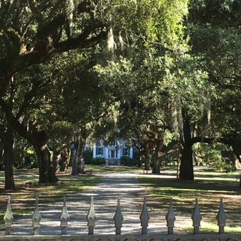 Sites and Insights Tours - Plantation on James island - Historical Tours Near Me