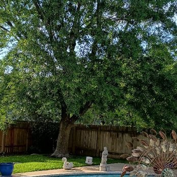 HCTT - Tree Services Near Me - Round Rock, Texas HCTT - Tree Services Near Me - Round Rock, Texas
