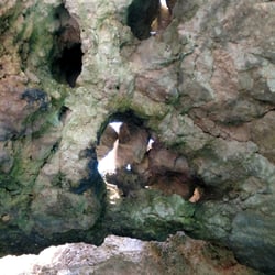 Bom Dia - Actividades Maritimas - Grottos near lagos. Great time.