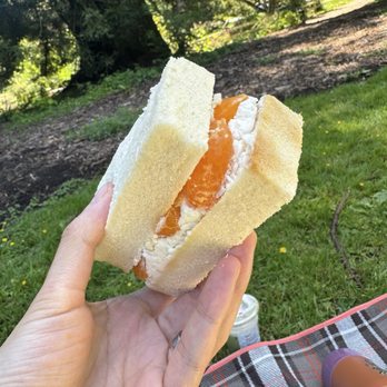 Tadaima - Inner Sunset - Mixed fruit sandwich filled all the way with fruit - Coffee & Tea Near Me - San Francisco, California
