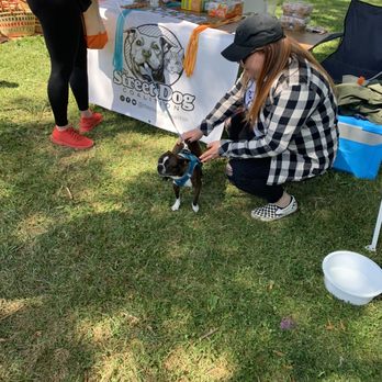 Doggie Dash - Community Service/Non-Profit Near Me - Sacramento, California Doggie Dash - Community Service/Non-Profit Near Me - Sacramento, California