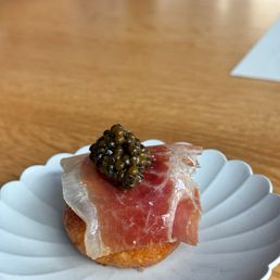 Sea Urchin