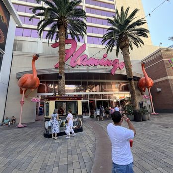 Flamingo - Entrance - Hotels Near Me - Las Vegas, Nevada