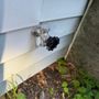 Empire State Plumbing