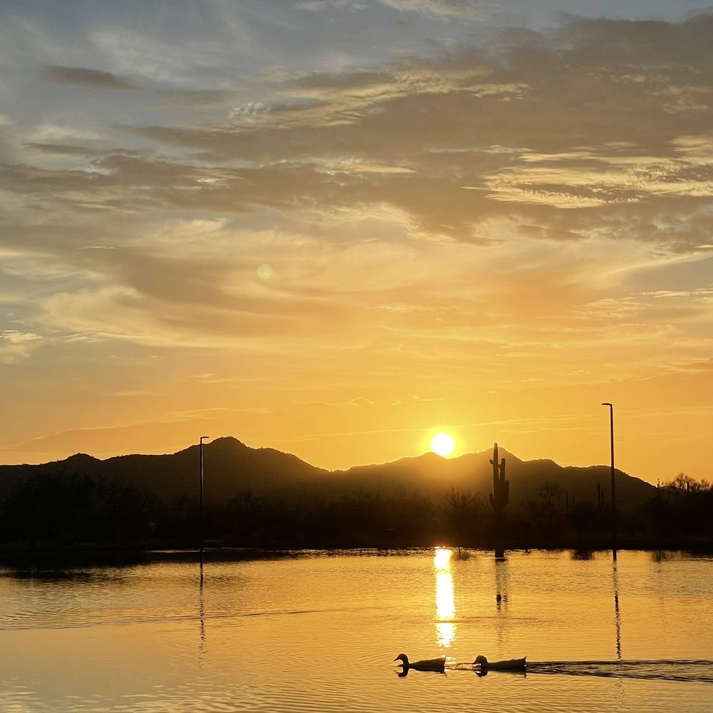 Paloma Community Park - Morning sunrise - Parks Near Me - Peoria, Arizona Paloma Community Park - Morning sunrise - Parks Near Me - Peoria, Arizona