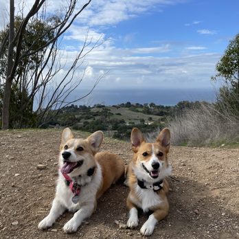 Forrestal Ecological Reserve - Hiking Near Me - Rancho Palos Verdes, California