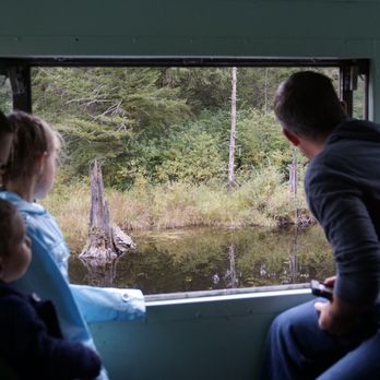 Chelatchie Prairie Railroad - Enjoying the view from the high room in the caboose - Transportation Near Me - Yacolt, Washington Chelatchie Prairie Railroad - Enjoying the view from the high room in the caboose - Transportation Near Me - Yacolt, Washington