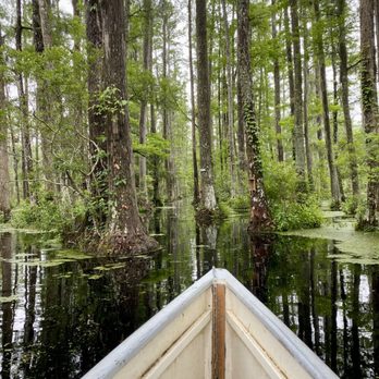 Cypress Gardens - Parks Near Me - Moncks Corner, South Carolina Cypress Gardens - Parks Near Me - Moncks Corner, South Carolina