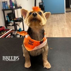 Breeds Spa Salon