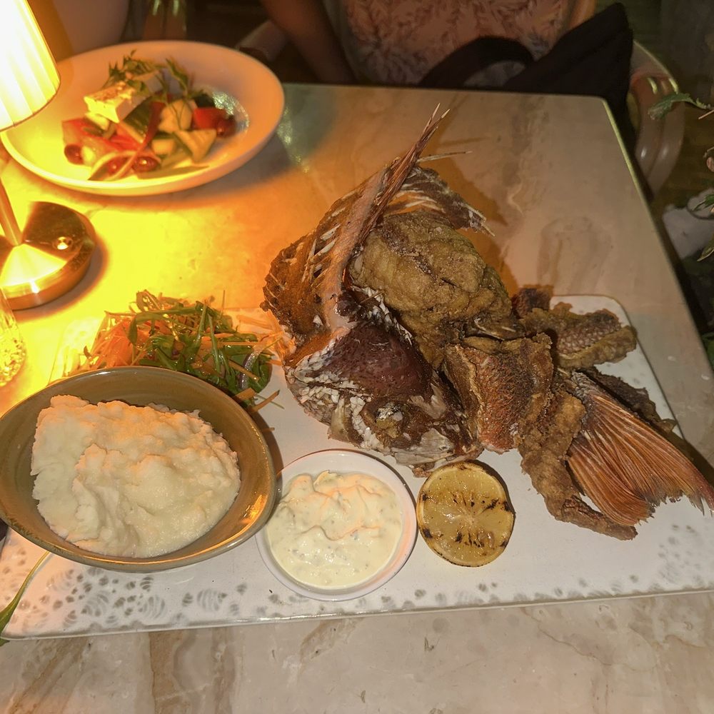 Elia - Red snapper with mash potatoes and salad - Italian Near Me - Miami, Florida Elia - Red snapper with mash potatoes and salad - Italian Near Me - Miami, Florida