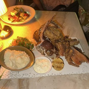 Elia - Red snapper with mash potatoes and salad - Italian Near Me - Miami, Florida Elia - Red snapper with mash potatoes and salad - Italian Near Me - Miami, Florida