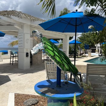 Beach Side Cafe - Cute sea turtle art! - Cafes Near Me - Frederiksted, Virgin Islands