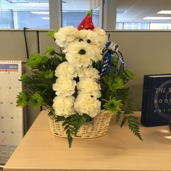 AZ Florist - This looks like David's dog Evan. So cute! - Florists Near Me - Phoenix, Arizona