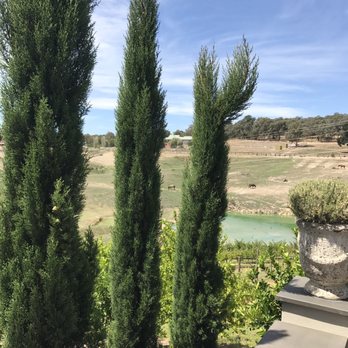 Olivigna - Restaurants Near Me - Warrandyte South, VIC Olivigna - Restaurants Near Me - Warrandyte South, VIC