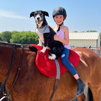 Lakeshore Polo Academy - Horseback Riding Near Me - Little Elm, Texas Lakeshore Polo Academy - Horseback Riding Near Me - Little Elm, Texas