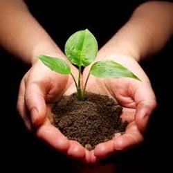 Flourish Counseling & Mental Wellness Center - Growth Is an Option